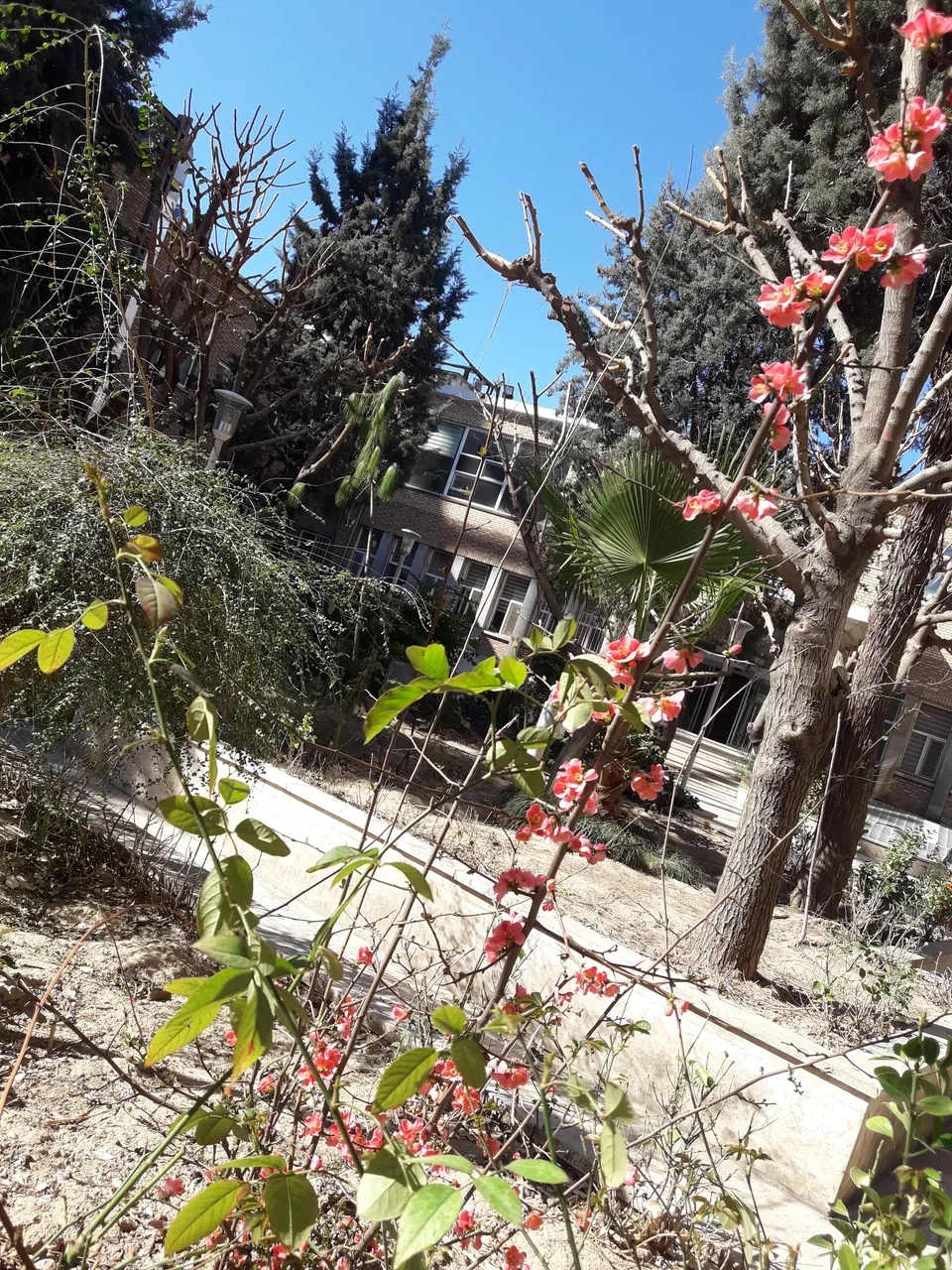 داروخانه فیروزگر - تصویر 3
