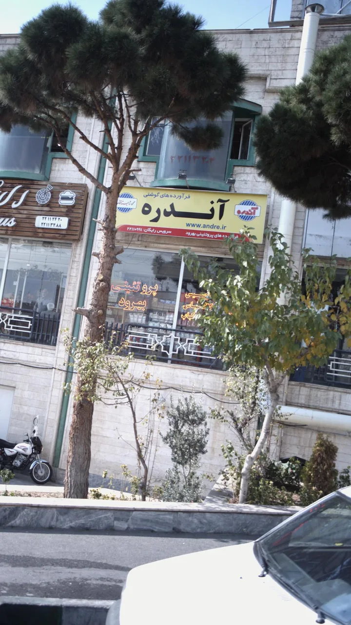 فرآورده های گوشتی آندره