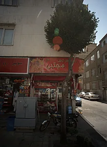 فرآورده های گوشتی مجتبی
