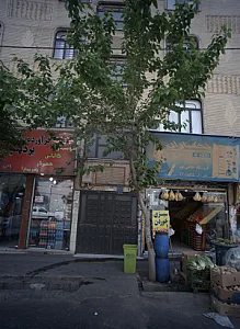 فرآورده های گوشتی پردیس