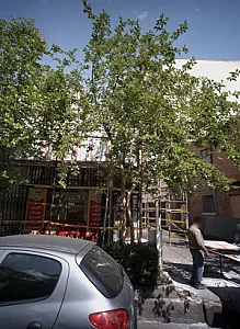 فرآورده های گوشتی سورن