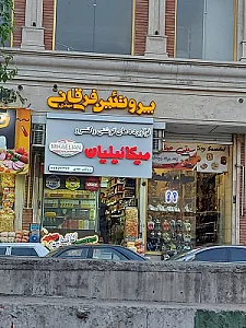 فرآورده های گوشتی آرسن