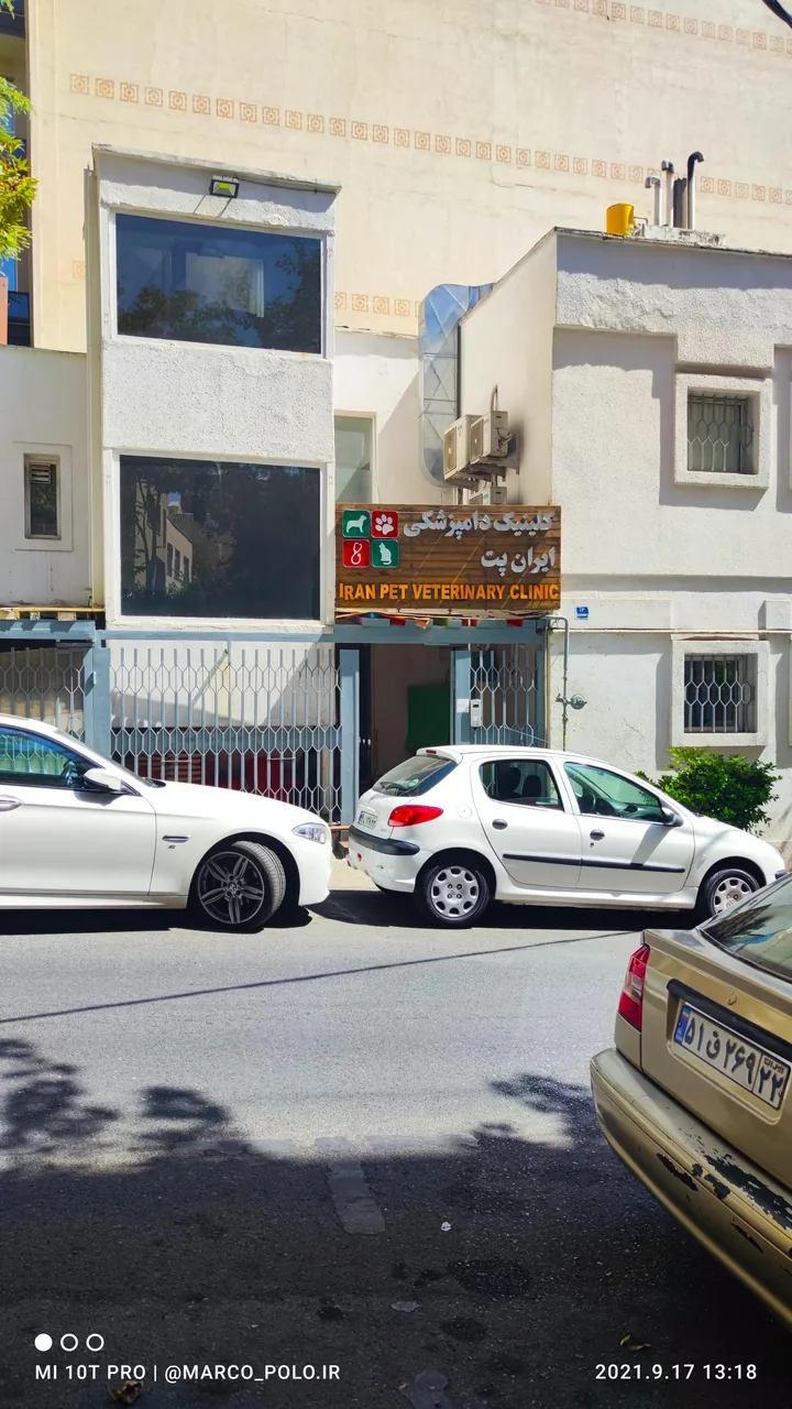 کلینیک دامپزشکی ایران پت - دکتر شادی موسوی - تصویر 3