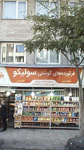 فرآورده های گوشتی سولیکو