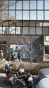 دکتر سوسن سکوتی