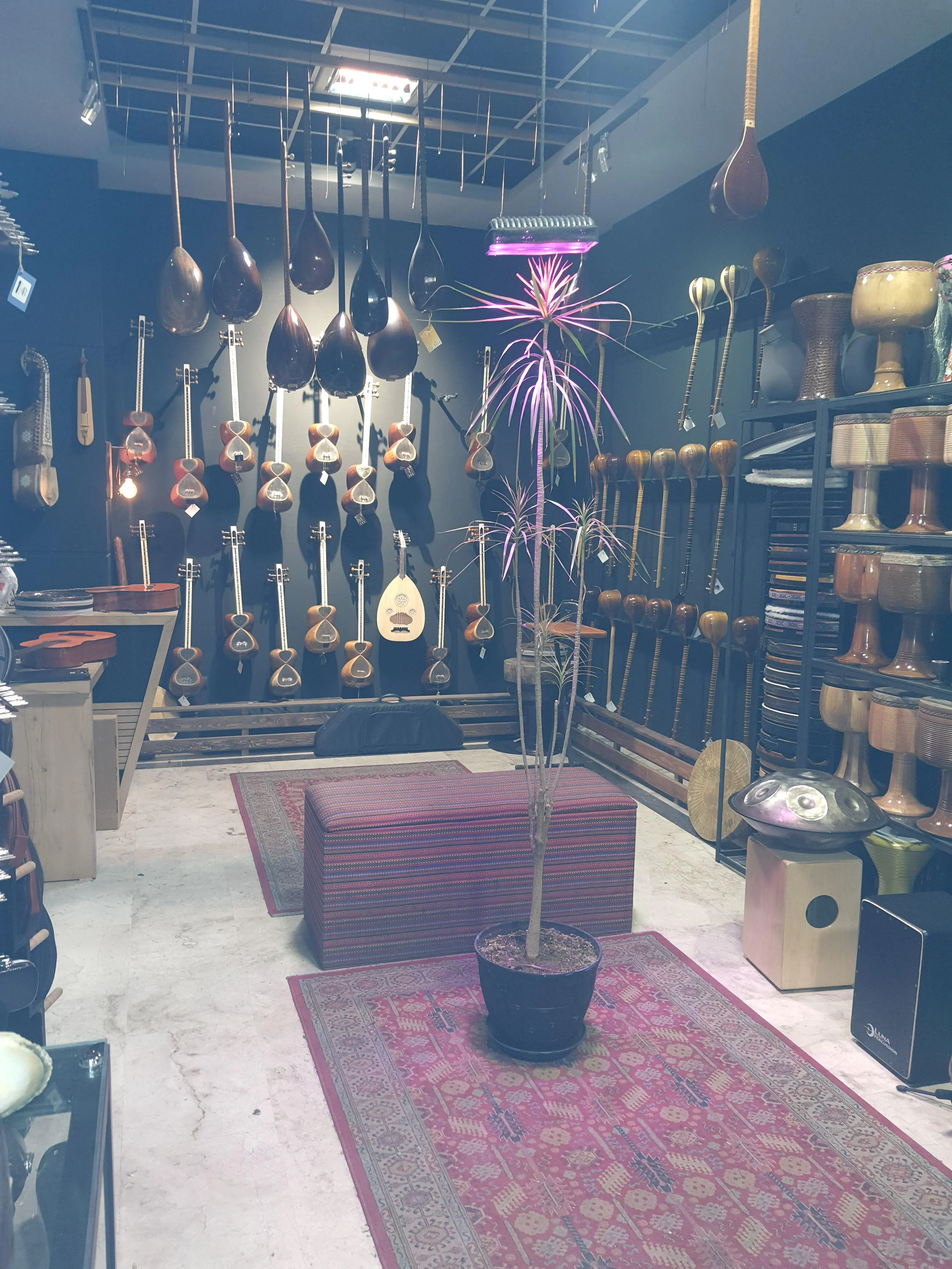 خانه موسیقی رهاوی