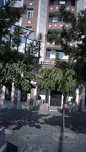 مطب دکتر محمدرضا کیانی