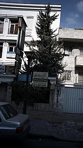 دکتر حمیدرضا وفایی