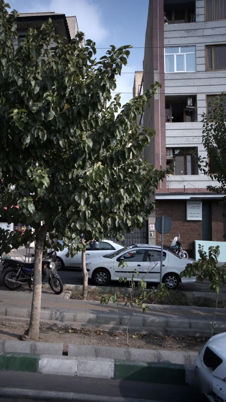 دکتر فرناد ایمانی - تصویر 2