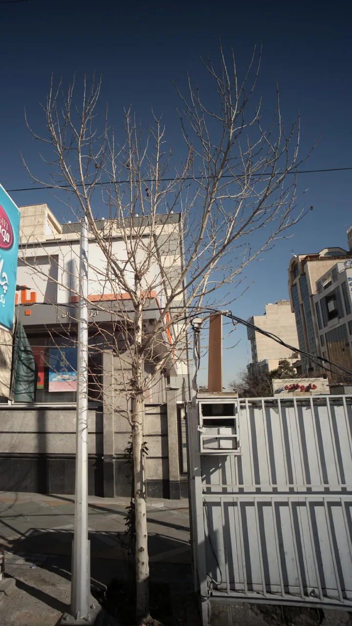 دکتر امیر سلیمانی - تصویر 4