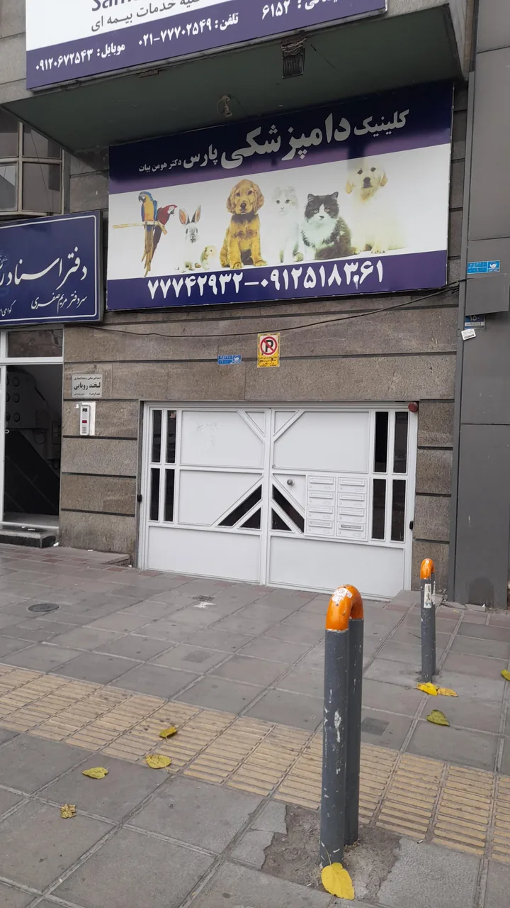 کلینیک دامپزشکی پارس دکتر هومن بیات - تصویر 5