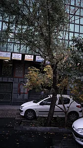 مطب دکتر مهرداد صالحی