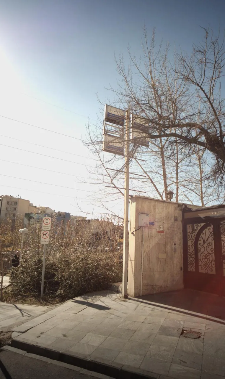 مطب دکتر پازوکی - تصویر 2