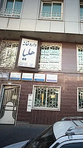 دکتر مهدی حسینی تهرانی