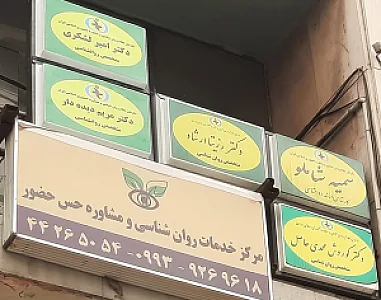روانشناس دکتر امیر لشکری