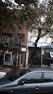 دکتر فروزان پور احمدی