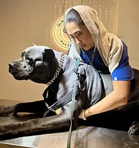 کلینیک دامپزشکی دکتر نیک پنجه