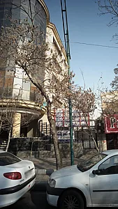 دکتر حسین قوه ندوشن