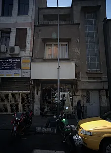دکتر فیروزه بلاش