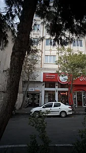 دکتر فروزان برابی