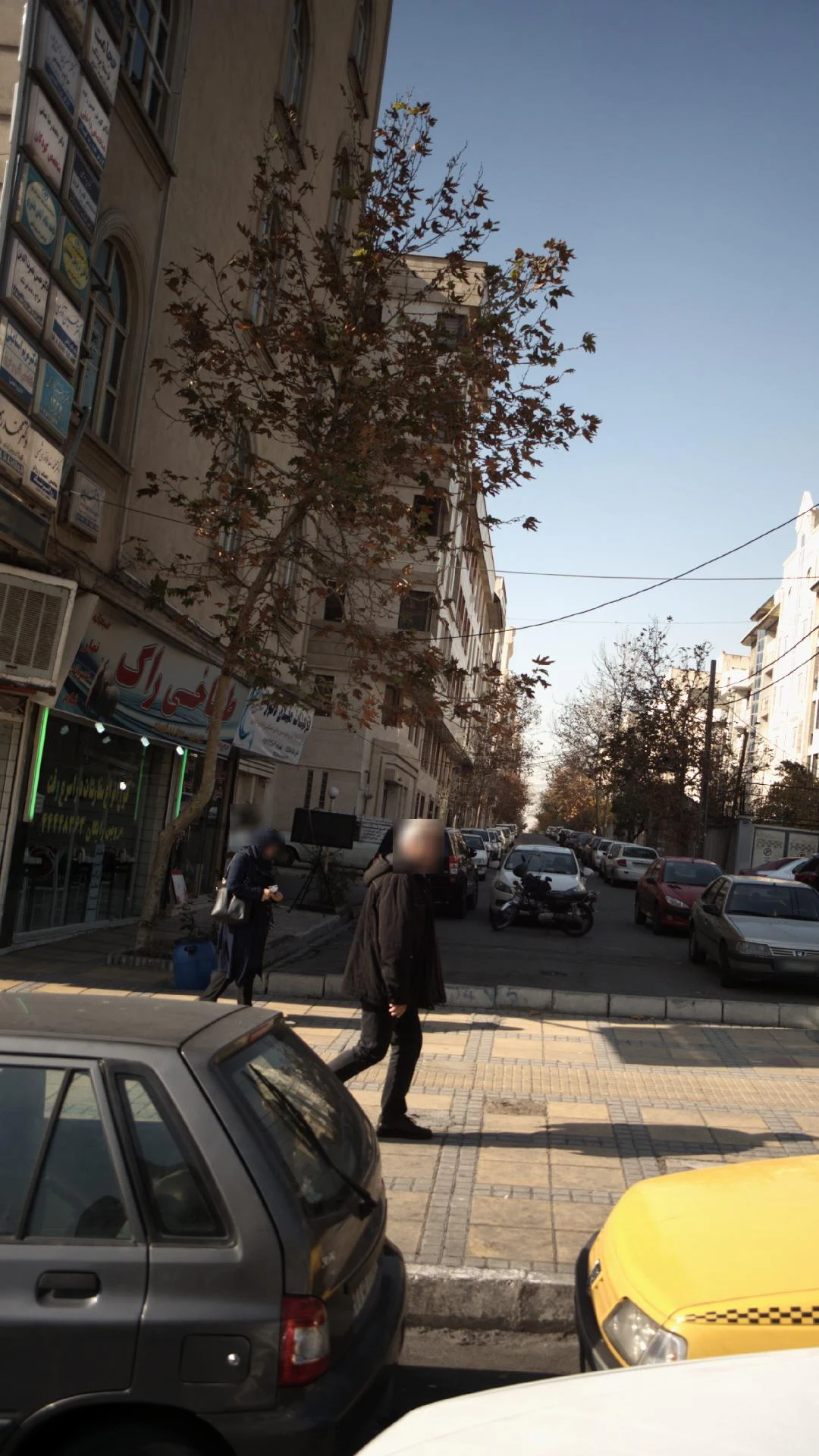 دکتر محمد رضا ملا نوری شمسی - تصویر 3
