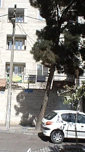 دکتر افسون نورالهی مقدم