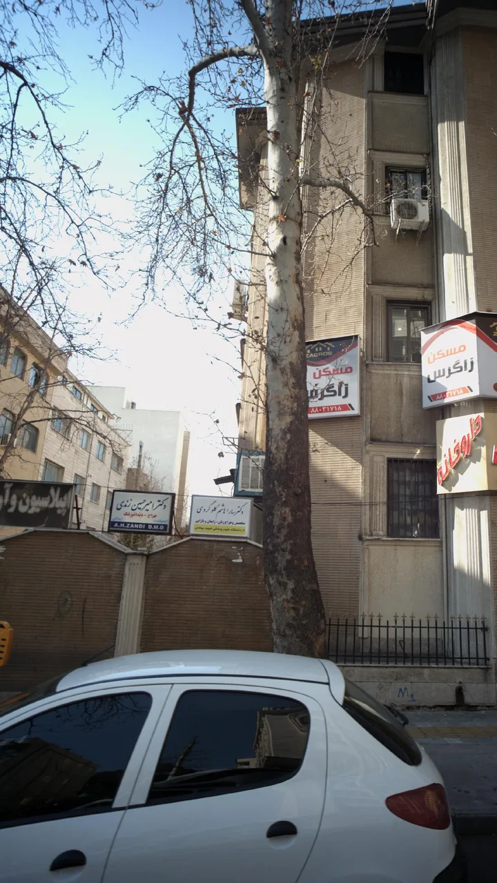 دکتر امیر حسین زندی
