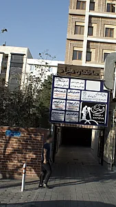 دکتر سید وحید موسوی