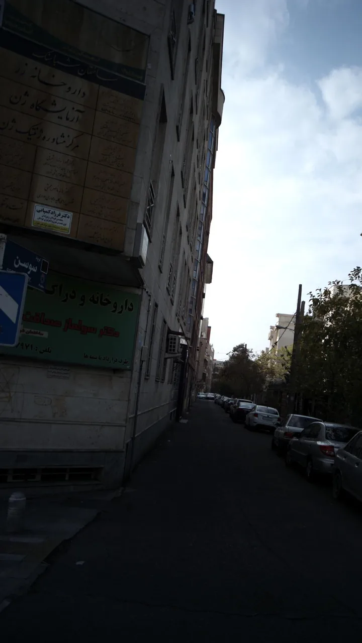 دکتر علی باغبانیان - تصویر 2