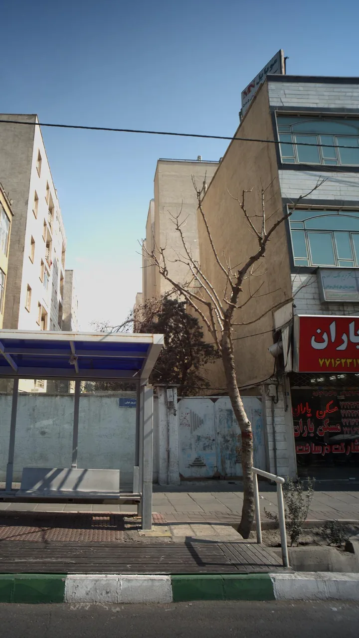 دکتر مریم ملک زاده - تصویر 3