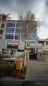دکتر امین میرموسوی