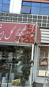 دکتر زهرا توکل