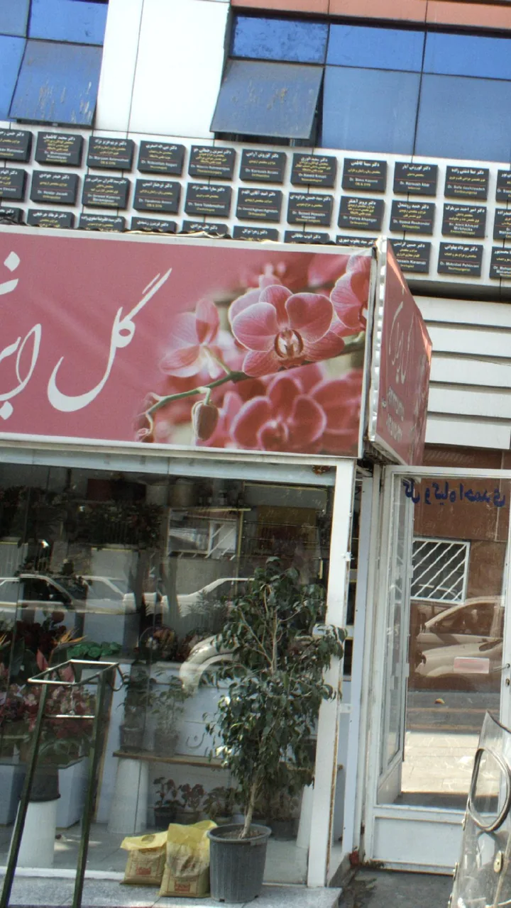 دکتر زهرا توکل