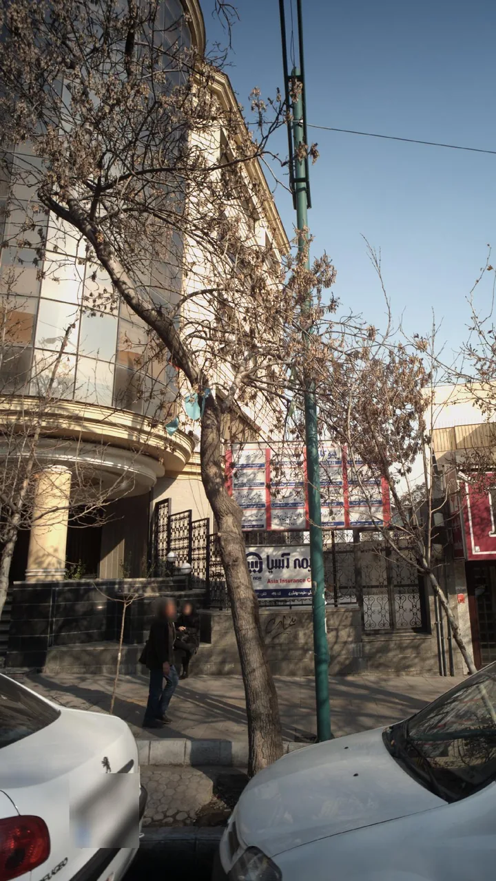 دکتر رستم باستانی زاده - تصویر 4