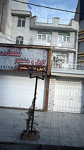 دکتر مهدیس کامکار و دکتر حمید مرتضوی