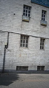 دکتر نیرالسادات سیاه پوش