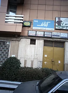 دکتر ماندانا محمودی