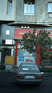 دکتر وجیهه سادات جلالی