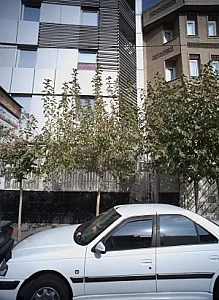 دکتر مجید در کاهیان