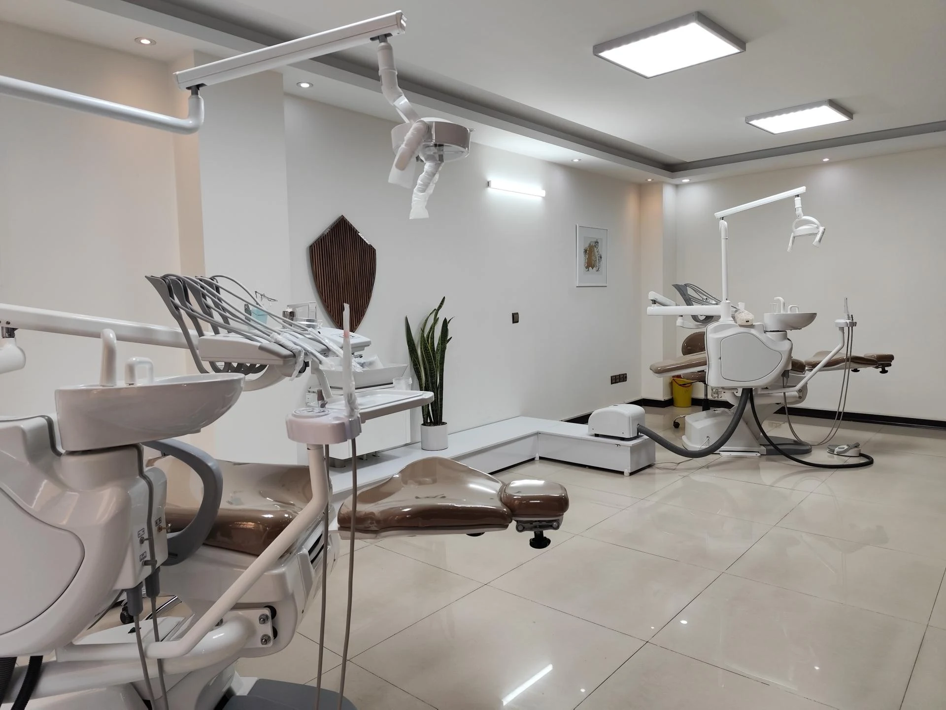 مطب دندانپزشکی دکتر المیرا شعارنوبری