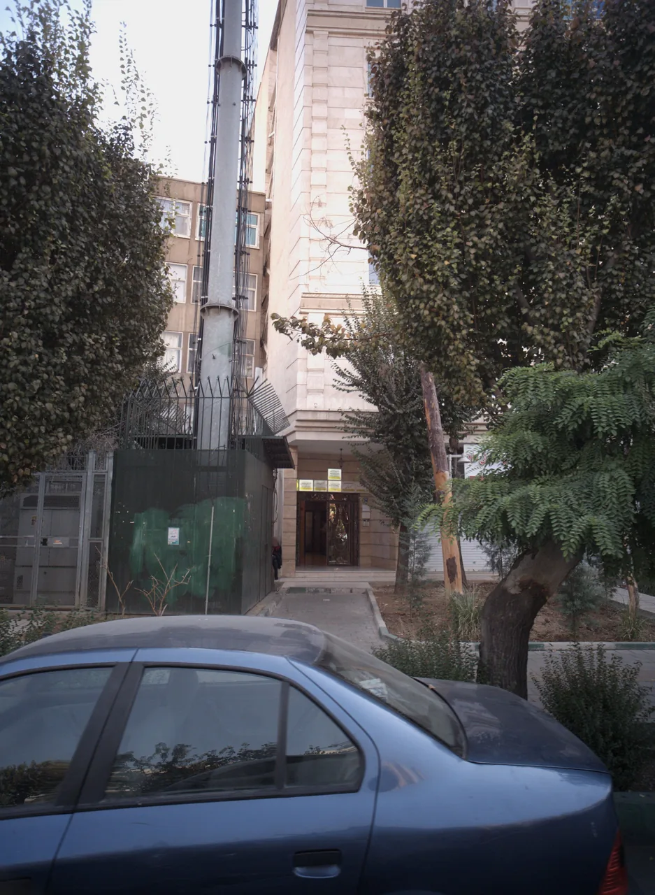 دکتر فریبا الماسی