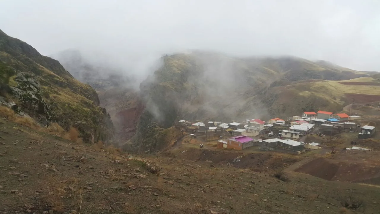 دکتر فریبا الماسی - تصویر 2