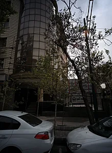 دکتر پیمان میرشاهولد