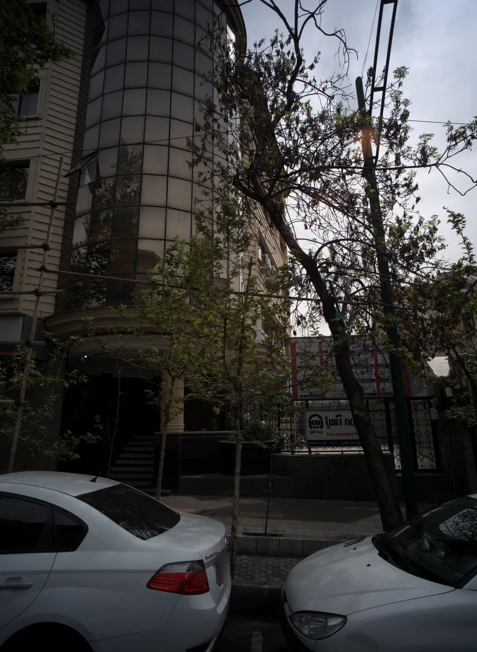 دکتر پیمان میرشاهولد