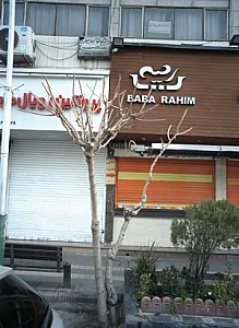 دکتر ابوالقاسم حاجیلاری