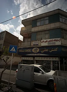 دکتر ارسطو بدیعی