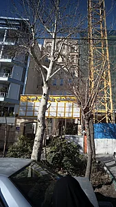 ساختمان پزشکان امید