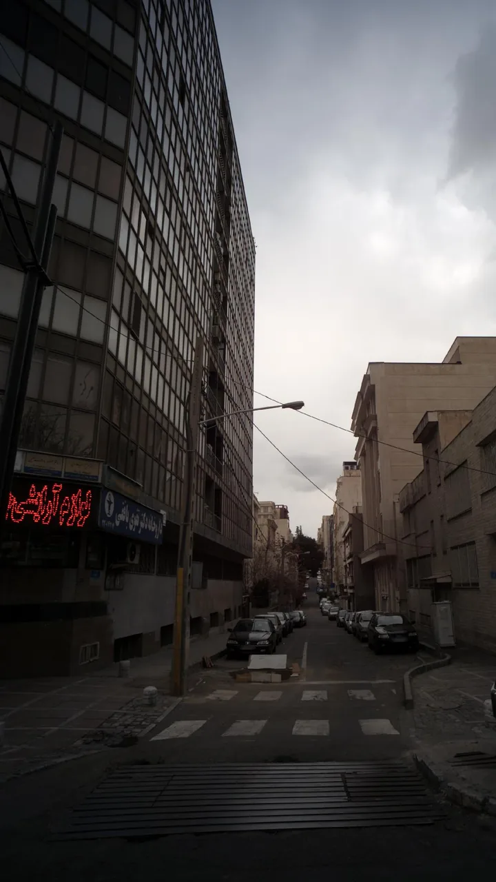 دکتر مریم میلادی - تصویر 3