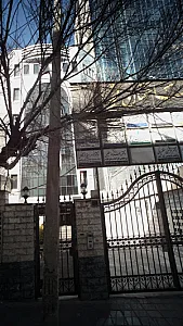 دکتر فاطمه بامداد