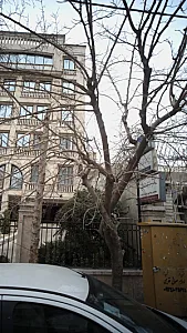 دکتر حسین رحیمی